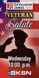 Veterans Salute Logo